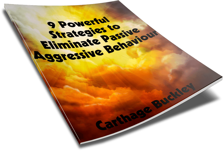 Flash Guide to Passive Aggressive Behaviour