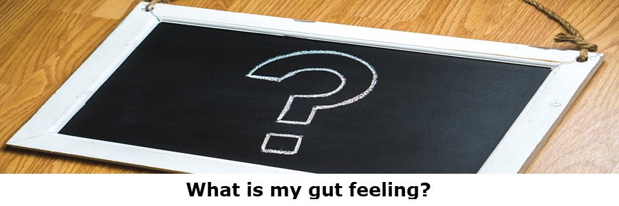 ask smart questions to solve your problems what is my gut feeling
